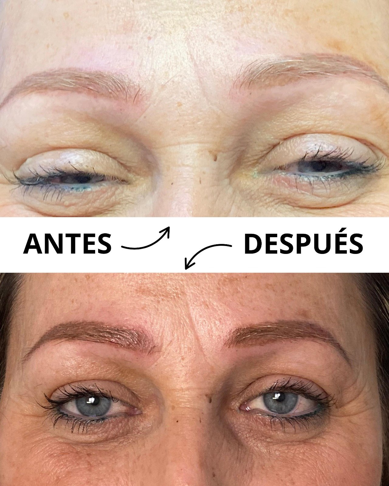 estudio tatuajes Segovia